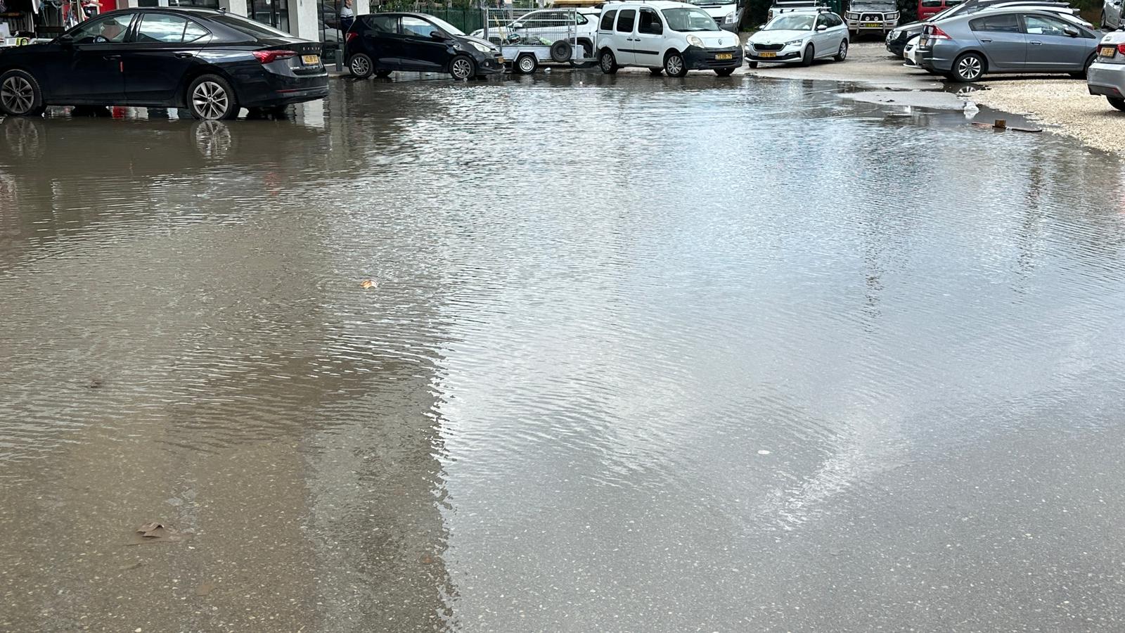 WhatsApp Image 2024-01-30 at 19.11.04.jpeg